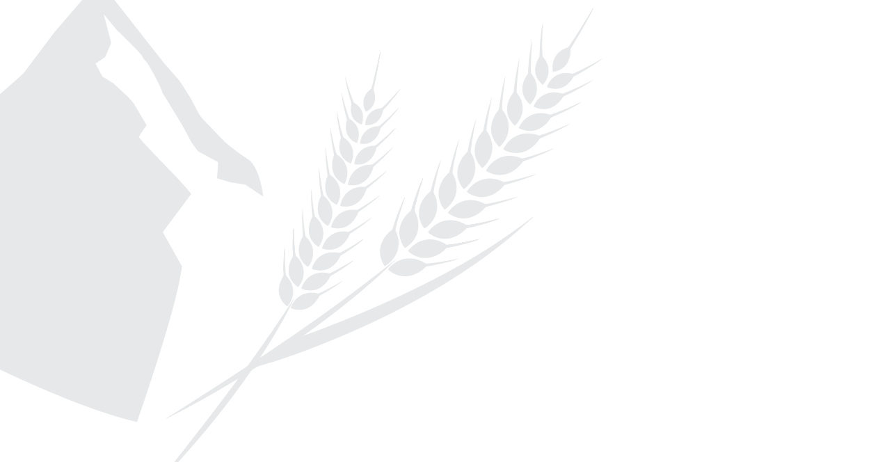 General Counsel & Director, Regulation Announcement Law Society of